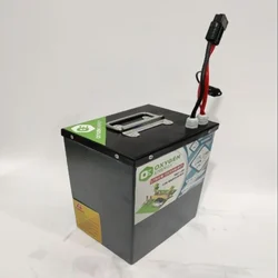 48V 30AH_25*20*17CM-BED TYPE